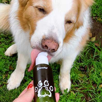 Dog Sustainable Omega-3 Oil – Korure Pets